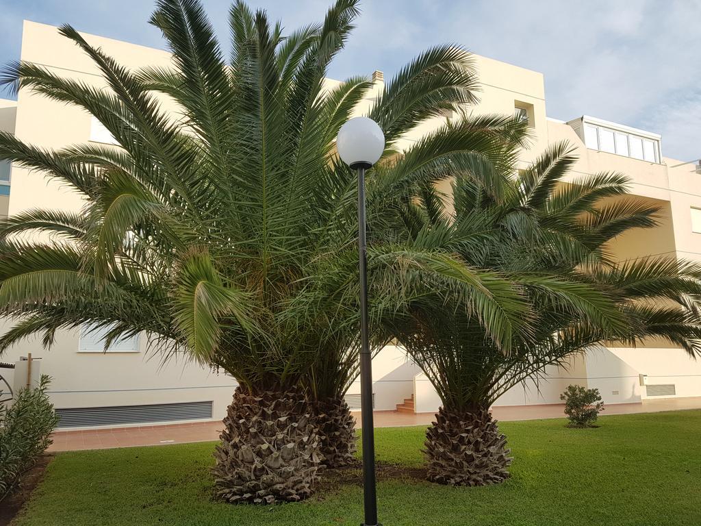 Alondras Playa Denia Apartment Ngoại thất bức ảnh